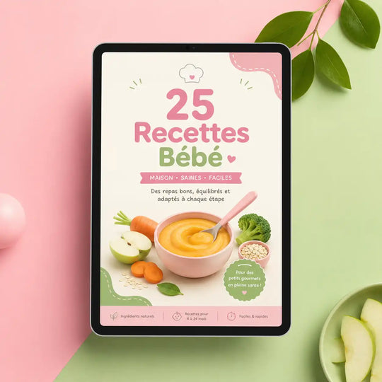 Guide 25 recettes maison (e-book)